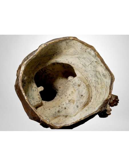 Tigre du Bengale se léchant la patte - Giacomo Merculiano