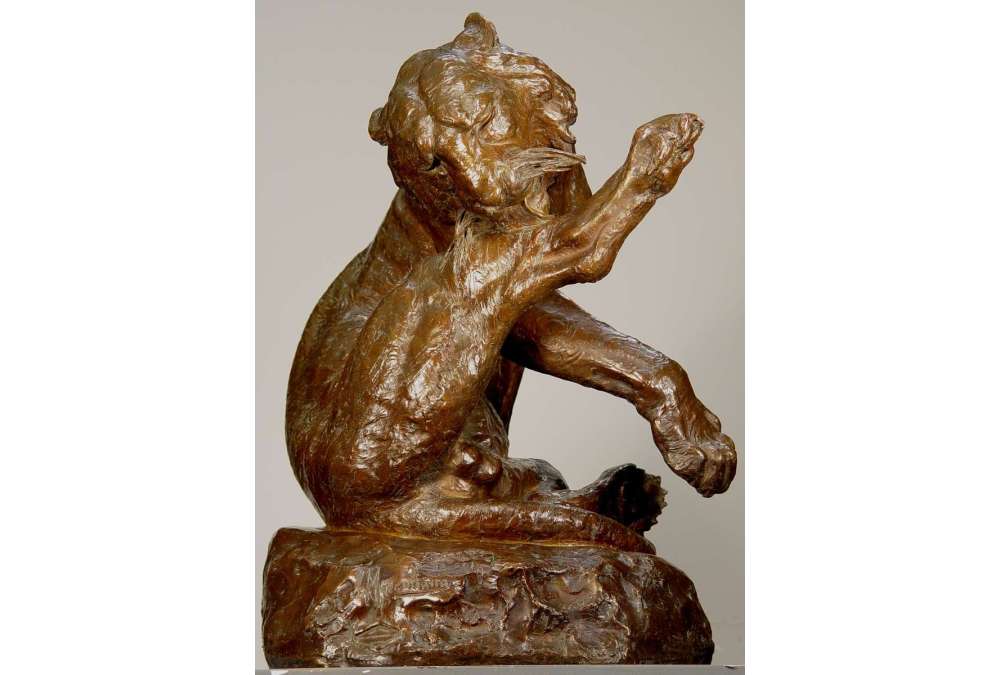 Giacomo Merculiano : Tigre du Bengale en Bronze XXe Siècle