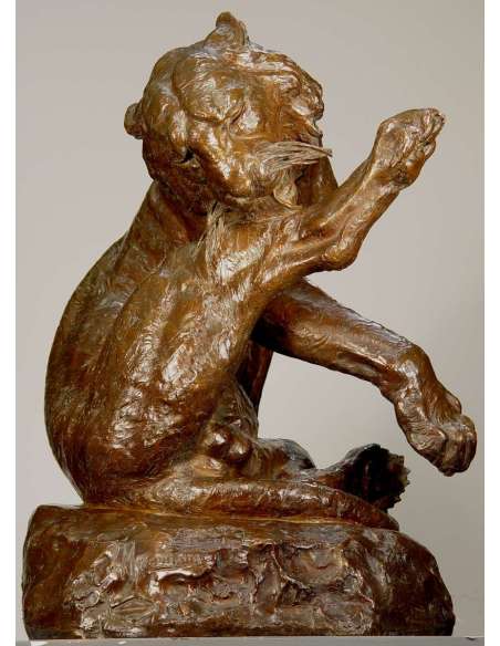 Giacomo Merculiano : Tigre du Bengale en Bronze XXe Siècle