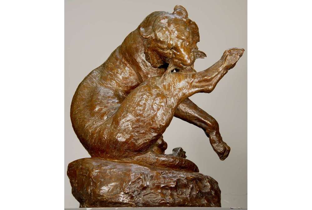 Giacomo Merculiano : Tigre du Bengale en Bronze XXe Siècle