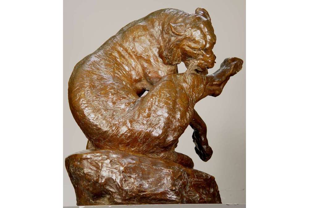 Giacomo Merculiano : Tigre du Bengale en Bronze XXe Siècle