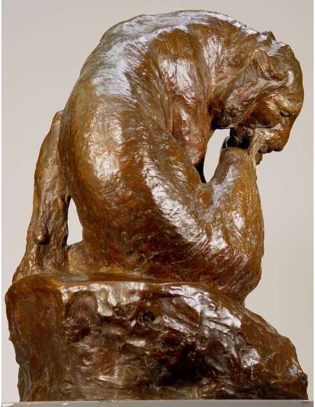 Tigre du Bengale se léchant la patte - Giacomo Merculiano