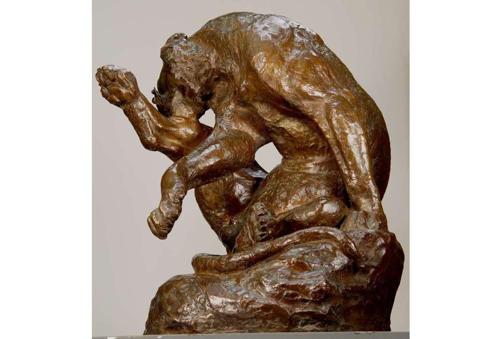 Giacomo Merculiano : Tigre du Bengale en Bronze XXe Siècle