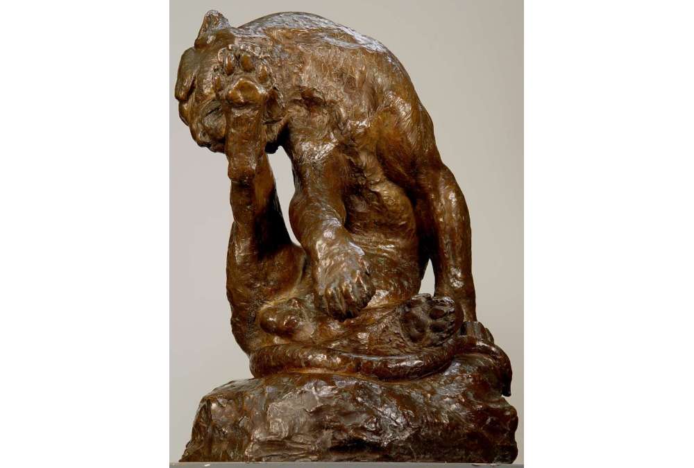 Giacomo Merculiano : Tigre du Bengale en Bronze XXe Siècle