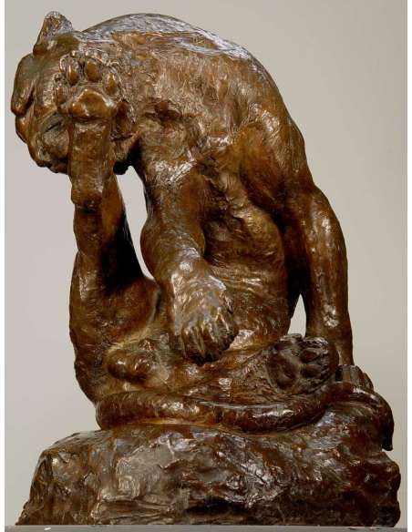 Giacomo Merculiano : Tigre du Bengale en Bronze XXe Siècle