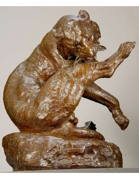 Tigre du Bengale se léchant la patte - Giacomo Merculiano