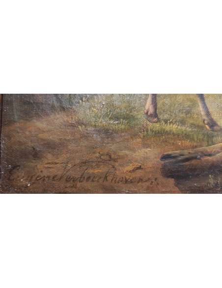 Cows and Bull in a Meadow Painting - Eugène Verboeckhoven