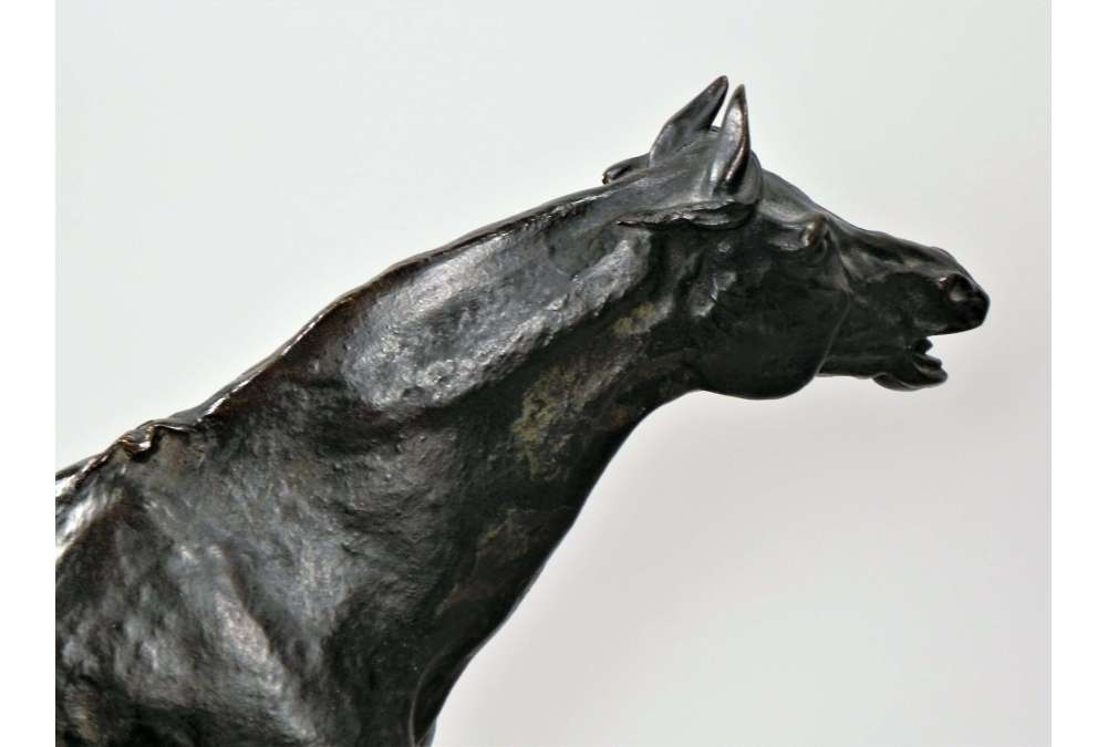 Arabian Stallion Bronze by Pierre-Jules Mène