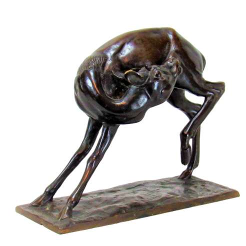 Sirio Tofanari, Bronze+ Jeune Antilope