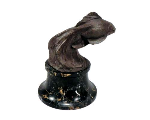 Sculpture bronze poisson voile de chine rachel van dantzig