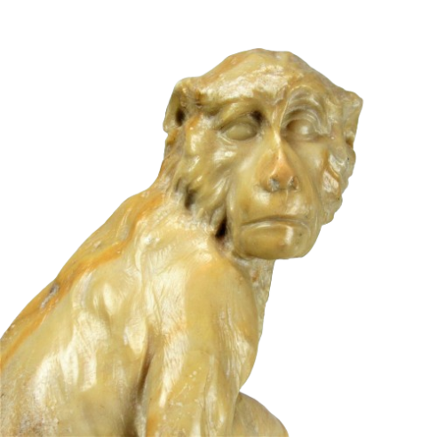 Anonymous, Monkey yellow marble