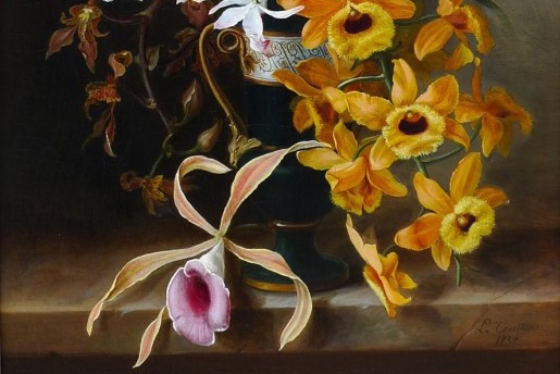 constans-irises-and-orchids