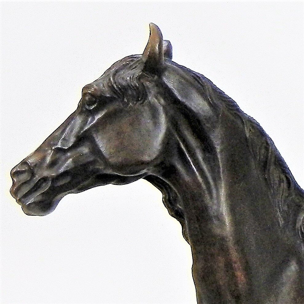 R. Odagled Horse
